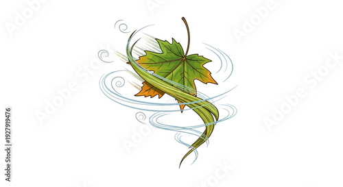 Maple Leaf Falling Down.