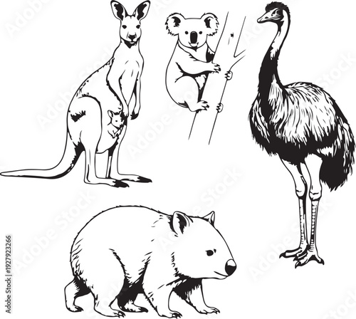 australian wildlife silhouette group kangaroo koala wombat emu