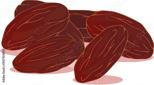 Isolated a kinds of deferent realistic drabbitod dates vector art color with white background..