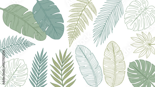 A beautiful assortment of hand drawn tropical leaves in subtle green and teal shades perfect for backgrounds