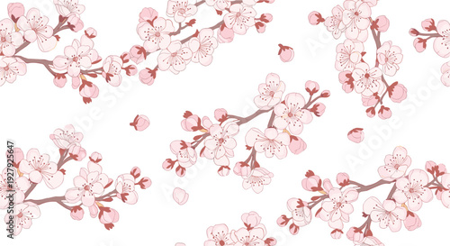 A beautiful and delicate seamless pattern of pink cherry blossom branches, or sakura, on a clean white background for spring designs.
