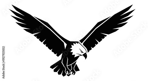 Soaring eagle silhouette in flight against white background