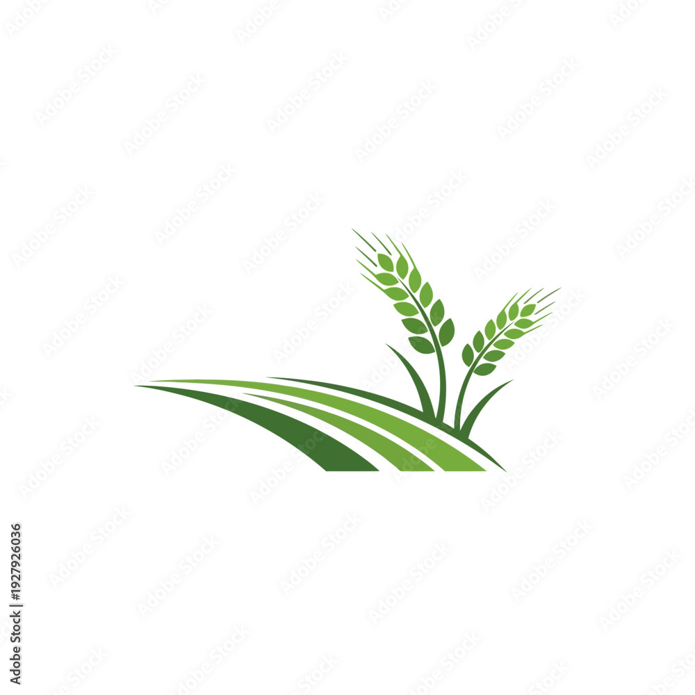 Obraz premium Green crops & field