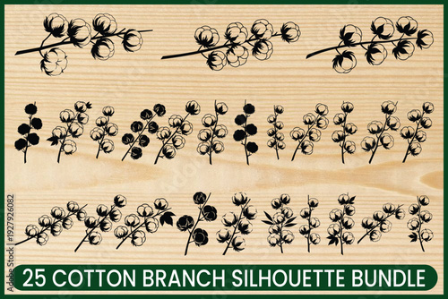 Decorative cotton branch silhouettes arranged in a bundle for crafting or home decoration Vector