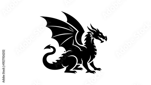 Black dragon silhouette isolated on white background for design elements