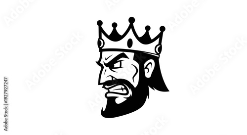 King face profile with crown vector illustration for design elements