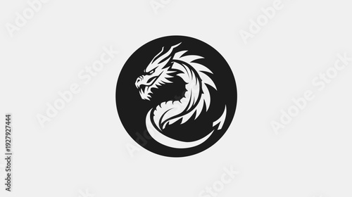 Stylized black and white dragon silhouette graphic design for various applications