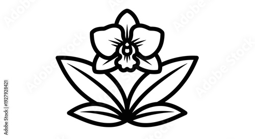 Yoga practice silhouette under a tree symbolizing balance and meditation