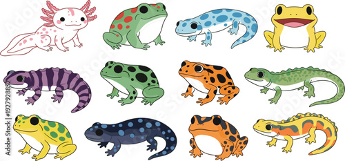 Colorful Salamander and Frog Species Collection with Axolotl and Spotted Amphibians Cute Detailed Vector Illustration Set