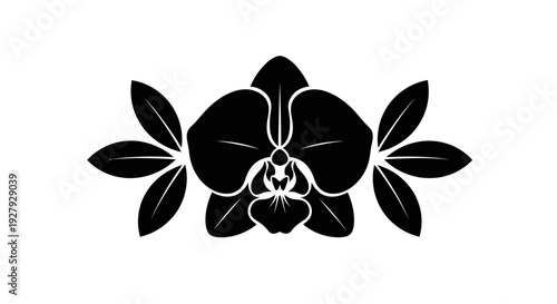 Elegant black orchid flower graphic for design and decorative purposes