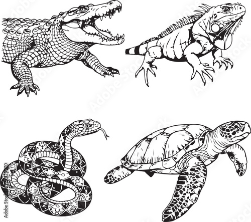 reptile silhouette set crocodile iguana snake turtle