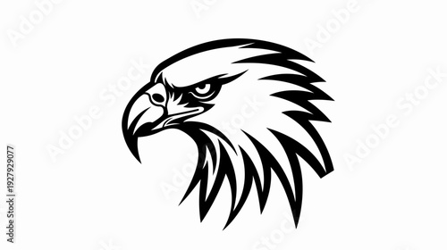 Bold eagle head illustration powerful bird of prey in monochromatic style