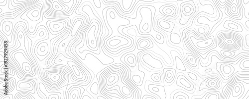 Technology abstract lines on white background. Undulate Grey Wave Swirl, frequency sound wave, twisted curve lines with blend effect.