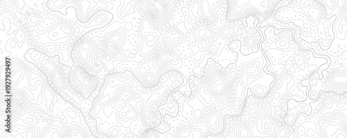 Technology abstract lines on white background. Undulate Grey Wave Swirl, frequency sound wave, twisted curve lines with blend effect.