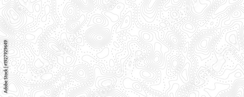 Technology abstract lines on white background. Undulate Grey Wave Swirl, frequency sound wave, twisted curve lines with blend effect.