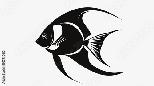 Black and white vector illustration of an angel fish on a white background