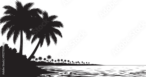 Silhouette of palm trees along a tropical beach at sunset