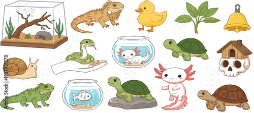 Cute Pet and Exotic Animal Collection with Turtle Axolotl Lizard Snake Duck Aquarium and Terrarium Vector Illustration Set