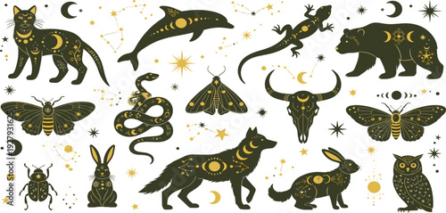 Mystical Celestial Animal Collection with Zodiac Inspired Cat Wolf Bear Snake Moth and Constellation Vector Illustration Set
