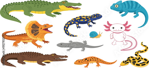 Reptiles and Amphibians Collection with Crocodile Frilled Lizard Chameleon Salamander Axolotl and Snake Vector Illustration Set