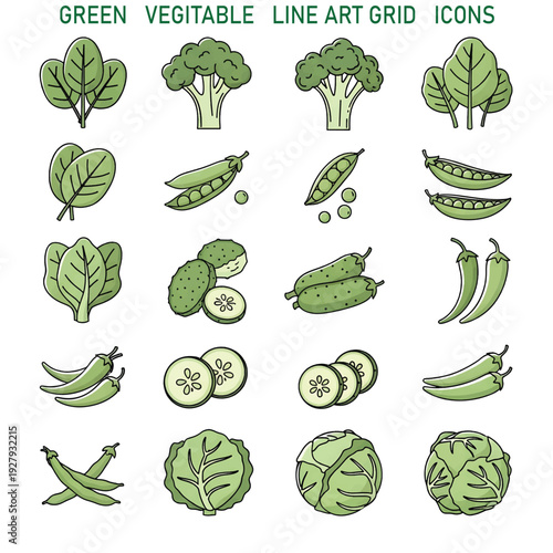 Fresh Green Vegetables Assortment – Healthy Organic Farm Produce