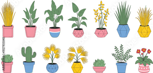 Colorful indoor potted plants vector set with cactus, succulent, palm, leafy houseplants and decorative flower pots