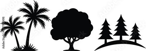 Tree Silhouette Collection Palm Deciduous and Pine Trees Vector Illustration Set Isolated on White Background for Design