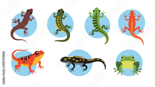 Various species of lizards salamanders and a frog in a flat illustration style isolated on circular blue backgrounds.