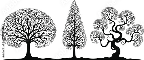 Detailed Nature Silhouette Set Featuring Vector Symbols of Artistic Tree Branches Including Oak Conifer and Twisted Bonsai