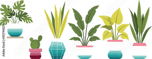 Modern indoor houseplants vector collection with monstera, cactus, snake plant and decorative colorful flower pots