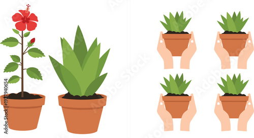 Potted indoor plants vector set with flowering hibiscus, green houseplant and hands holding small succulents