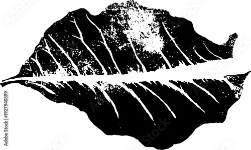 High contrast tobacco leaf ink illustration - black and white design for art projects
