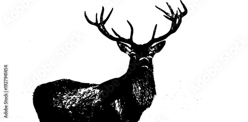 Stag silhouette with banner in high contrast black and white design for rustic decor