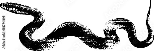 Black and white snake silhouette with compass star design for posters and prints