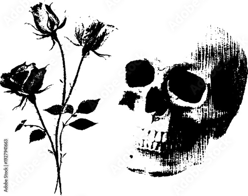Skull and roses high contrast ink art - gothic design for tattoo or home decor
