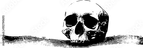Skull with banner in high contrast black and white ink illustration for gothic decorating