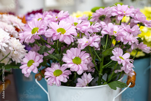 Wallpaper Mural Pink chrysanthemum bouquet in decorative pot, indoor close up Torontodigital.ca