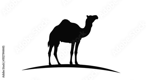 A striking black camel stands on a hill a bold silhouette