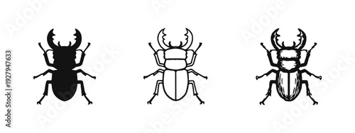 Stag Beetle Icons Set: Insect Silhouette, Outline, and Hand-Drawn Styles on White Background