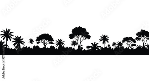 Tropical trees and palms create a dark striking silhouette