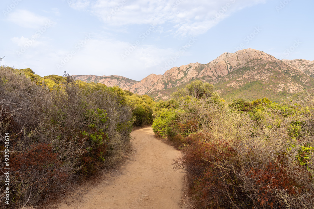 Obraz premium Winding dirt path through Corsican maquis landscape with mountains