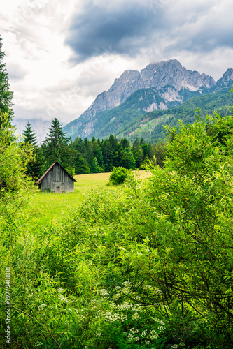 In the green. Slovenia and Lake Kranjska Gora. Julian Alps