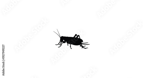 A striking black silhouette of a grasshopper on a white background