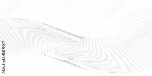 Abstract gray lines forming a wave or flowing ribbon shape