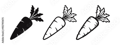 Carrot icon set with leaves in solid, outline, and hand-drawn styles, a symbol of fresh and healthy food.