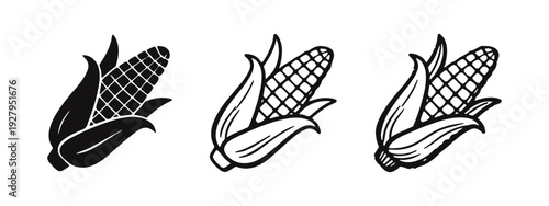 Corn cob icon set in solid, outline, and hand-drawn styles with husks, depicting a farm fresh vegetable.