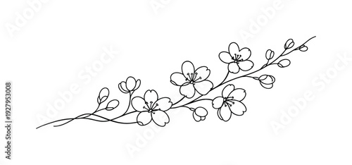 "Cherry Blossom Branch". Minimalistic one-line drawing delicate sakura branch with small blooming flowers and