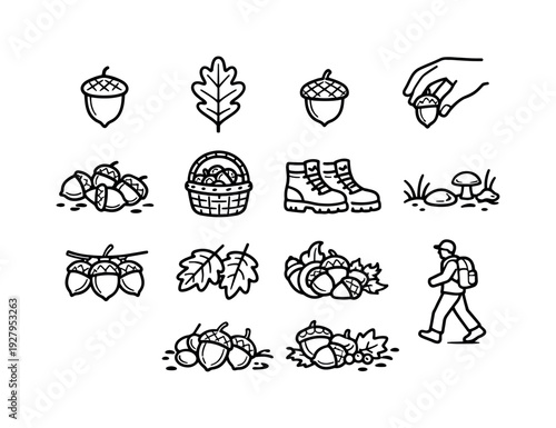Collecting acorns. Line outline icon set of Collecting acorns: acorn nut, oak leaf, acorn cap, hand picking