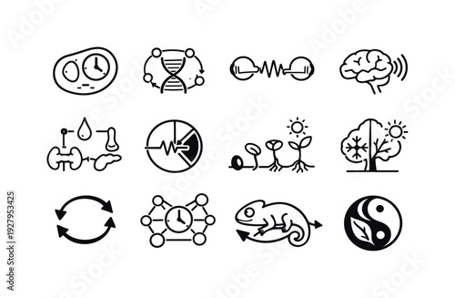 Biological timing systems. Line outline icon set of Biological timing systems: cellular clock, gene expression