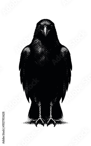 Raven Silhouette Artistry. Front-facing black raven with wings folded, body reduced to a dark iconic